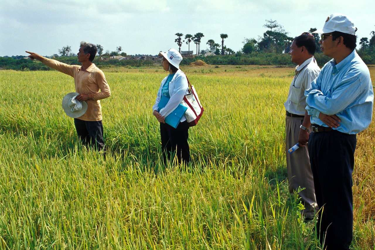 Connecting Farmers